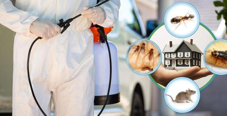 Seferihisar Böcek İlaçlama