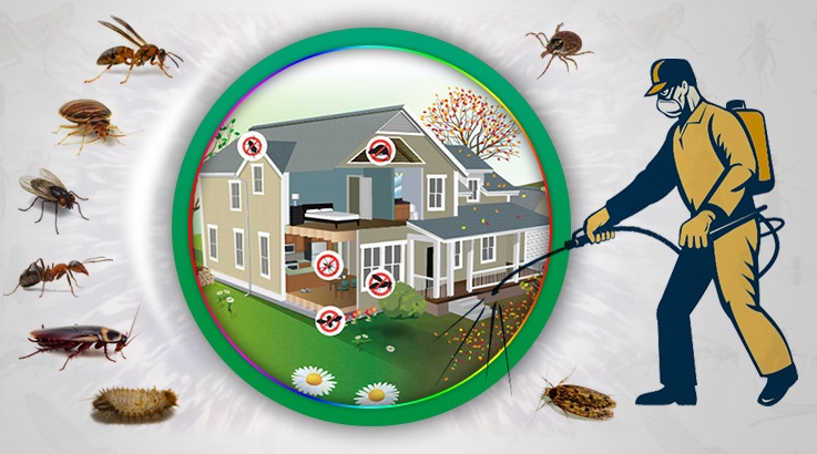 Seferihisar Böcek İlaçlama