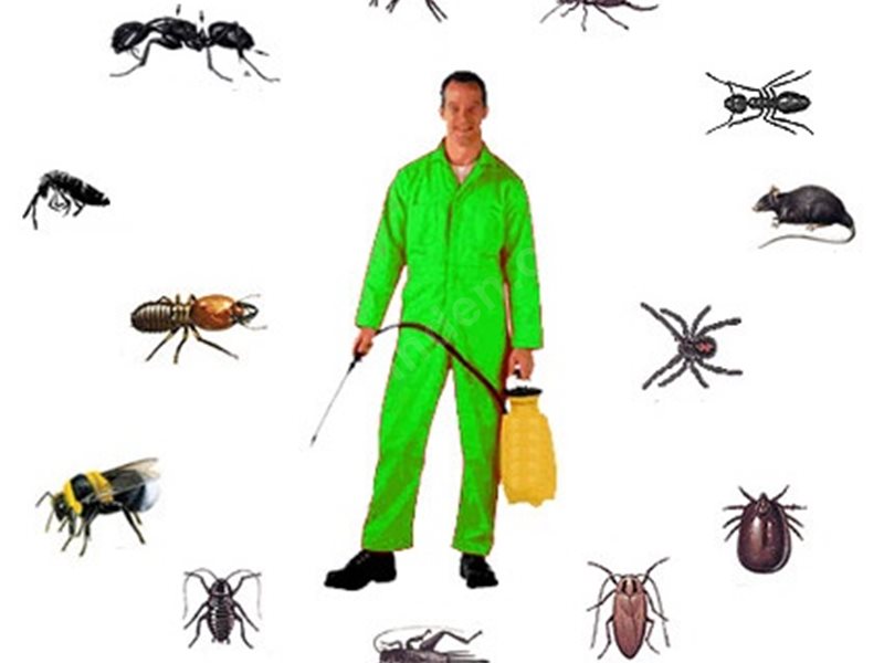 Seferihisar Böcek İlaçlama